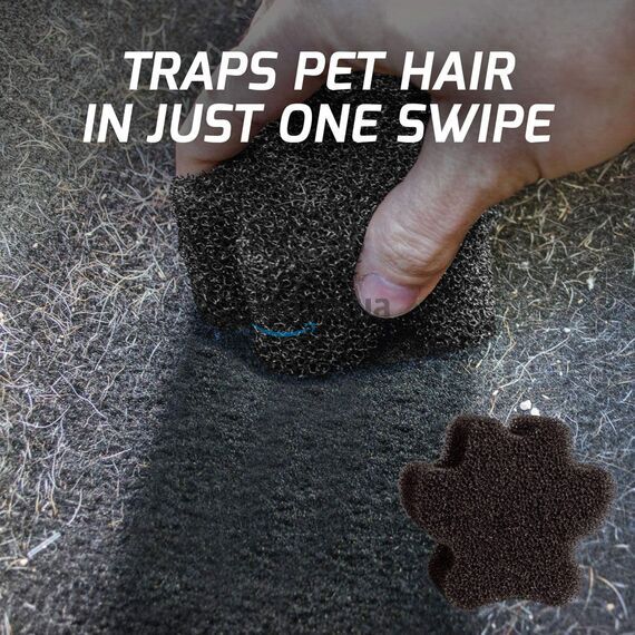 Turtle Wax Pet Mess Kit